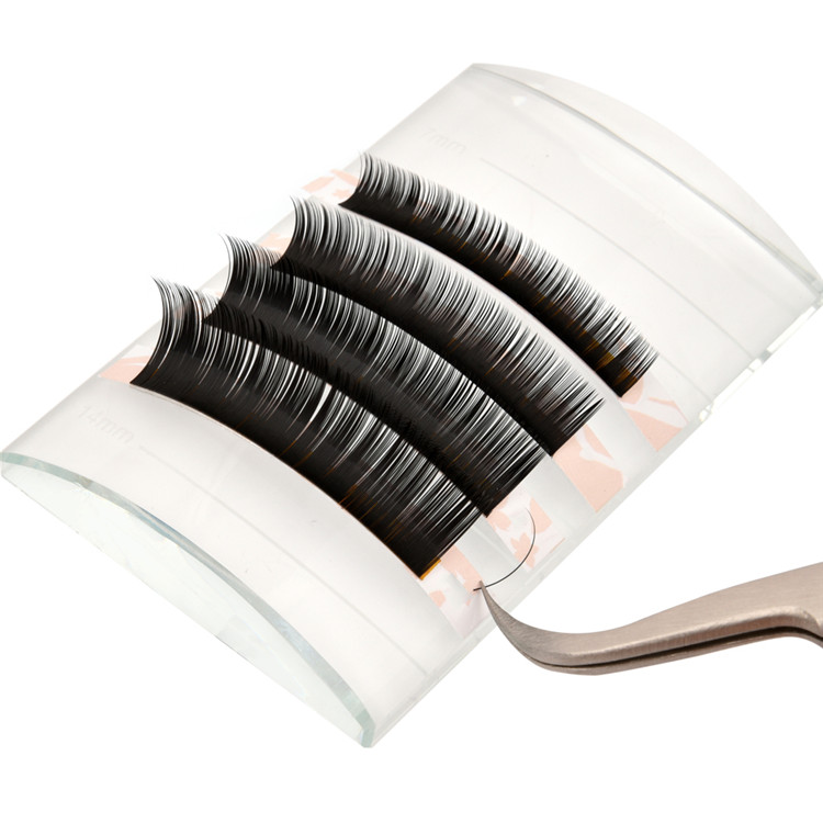 Volume Eyelash Extensions Factory Supply Korean Eyelash Extensions PY1